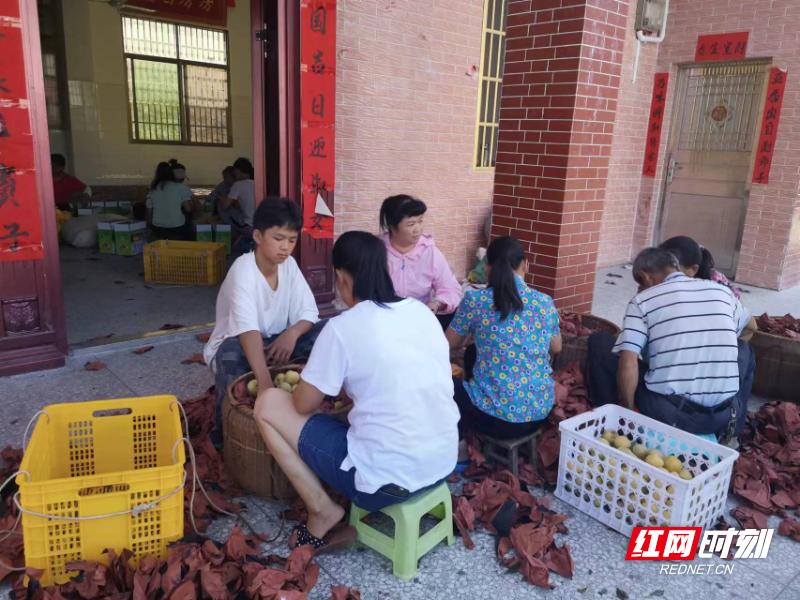 汝城最新项目，时代印记与崛起雄心展露