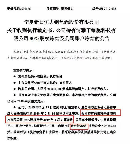 新日恒力最新公告,聚焦要点、深度解读及未来展望