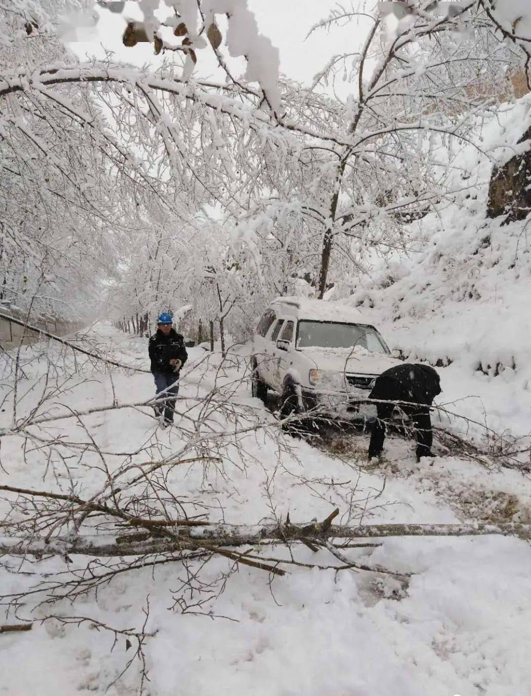 最新下雪资讯报道
