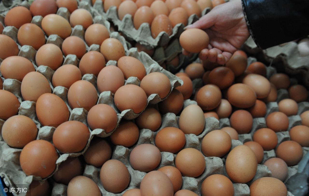 今日全国最新鸡蛋价及其背后的温馨故事